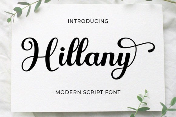 H1: Hillany – A Script with Soul