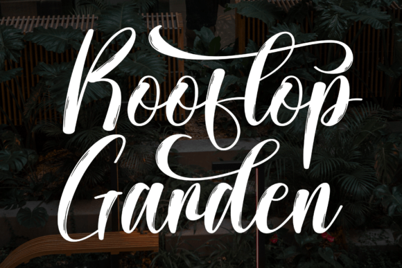 Rooftop Garden: A Font That Elevates Your Brand