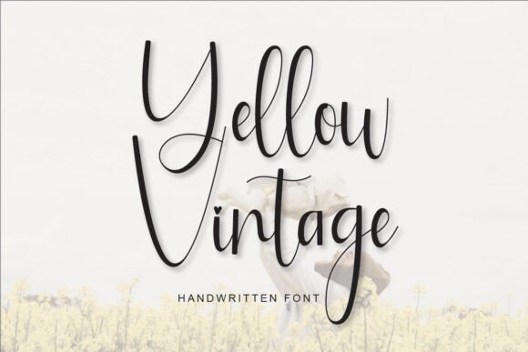 Yellow Vintage: A Script Font That Adds Warmth to Web Design